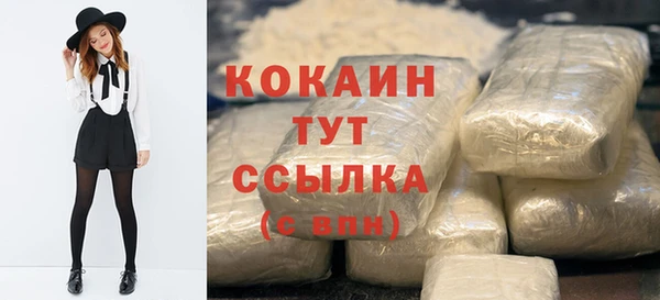 ГАЛЛЮЦИНОГЕННЫЕ ГРИБЫ Богданович