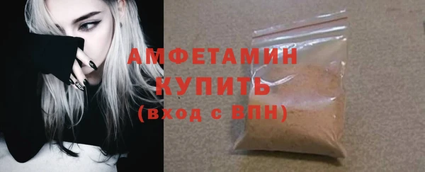 гидра Богородицк