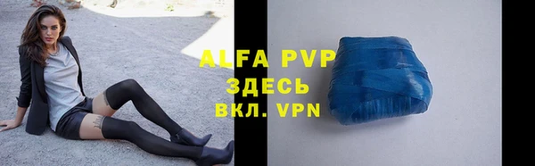 ГАЛЛЮЦИНОГЕННЫЕ ГРИБЫ Богданович