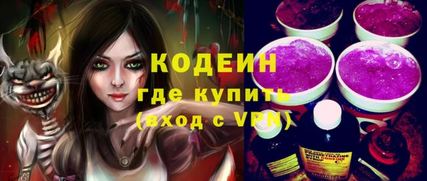 ГАЛЛЮЦИНОГЕННЫЕ ГРИБЫ Богданович