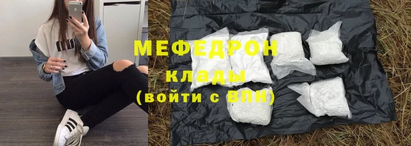 гидра Богородицк